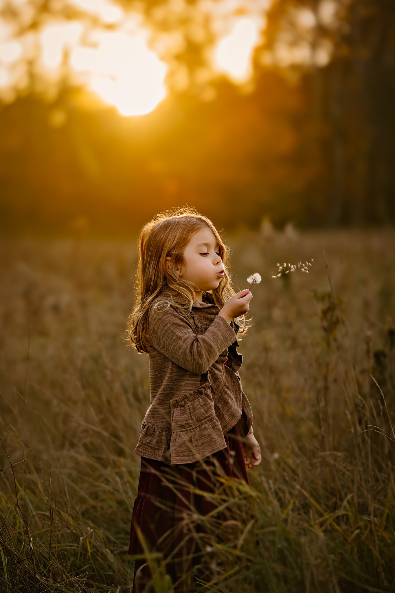 girl blowing dandelion portrait photography sunset golden hour concord new hampshire childhood milestone portrait