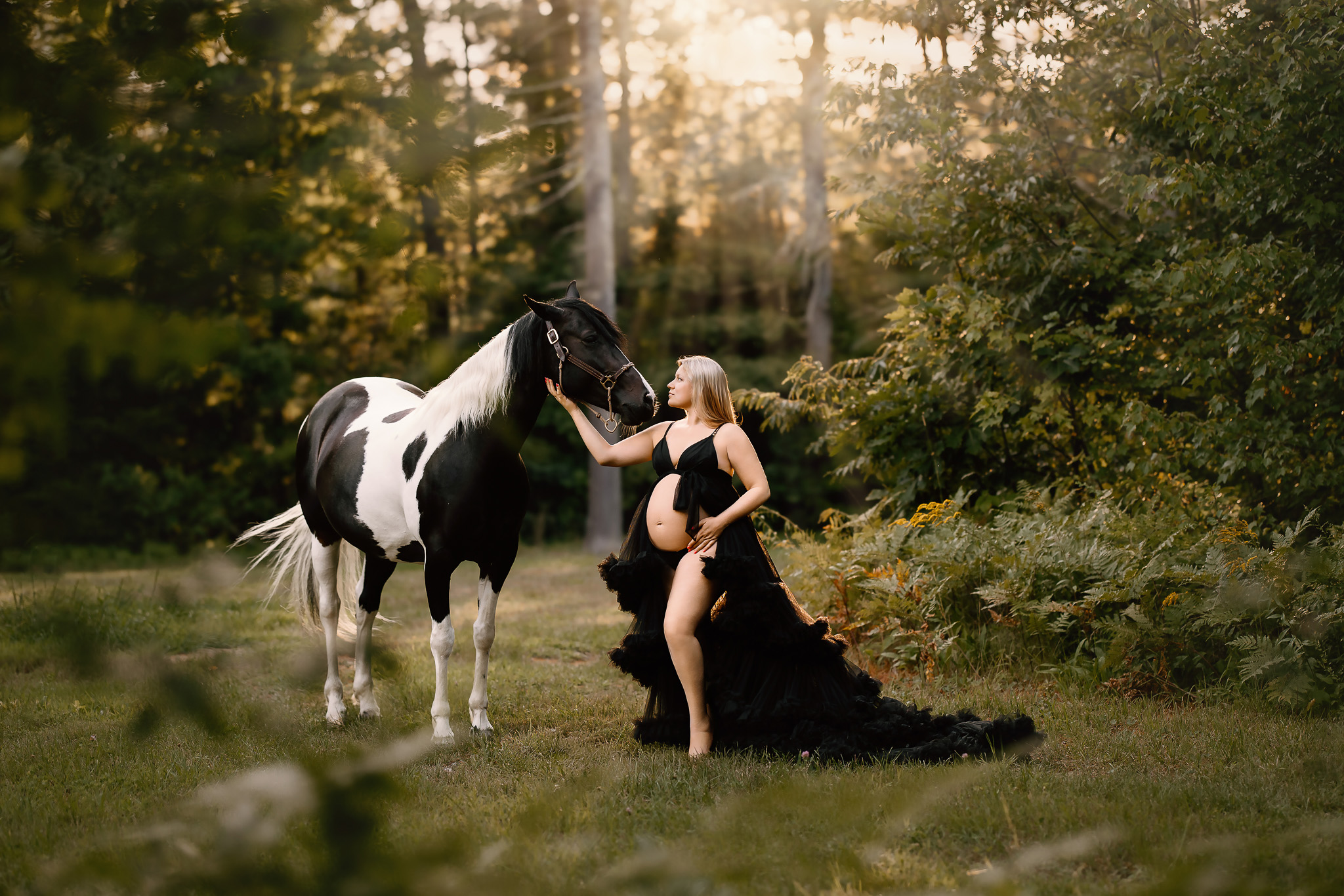 maternity portrait where mom is wearing a black gown and touching her horse who is black and white, sunset, golden hour, NH