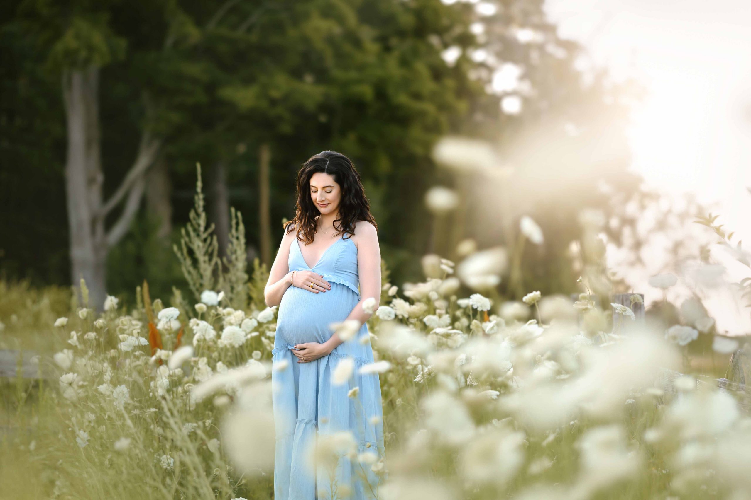Maternity portrait with mom in blue dress standing with white flowers, golden hour, sunset, NH